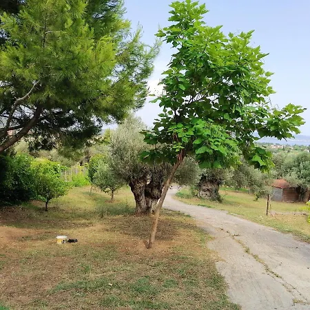 3 Bedrooms House At 400 M Away From The Beach With Furnished Terrace 펜션 Politiká